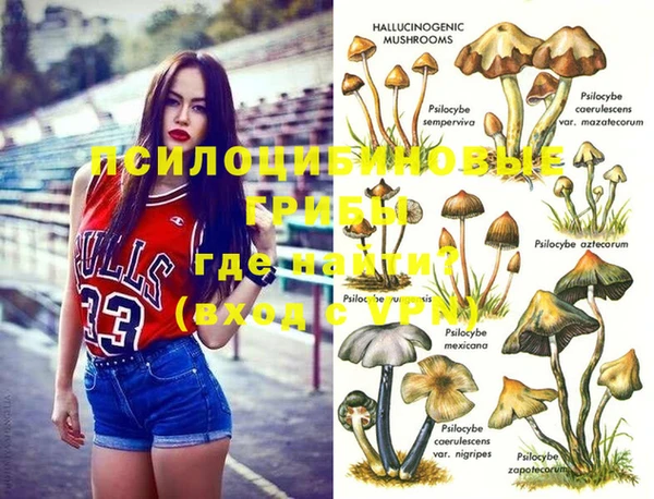ешки Пролетарск