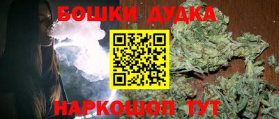 шишки Обь