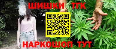 тгк Новодвинск