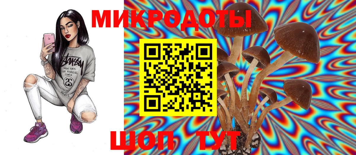 Галлюциногенные грибы Psilocybe Юрга