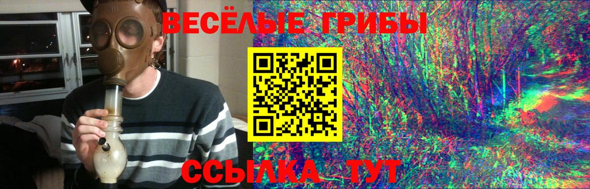 сколько стоит  Вход с VPN  Юрга  Галлюциногенные грибы Cubensis 