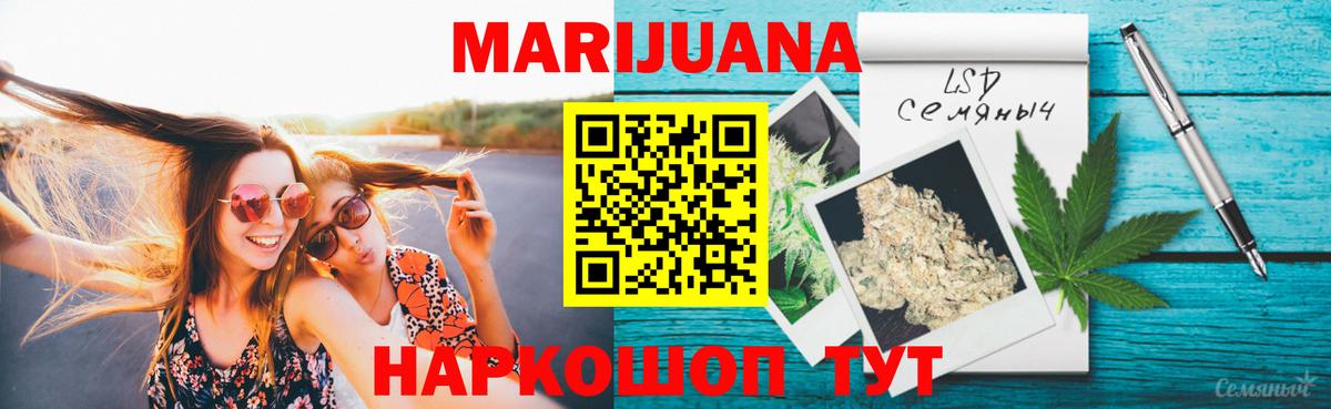 Каннабис сатива Юрга